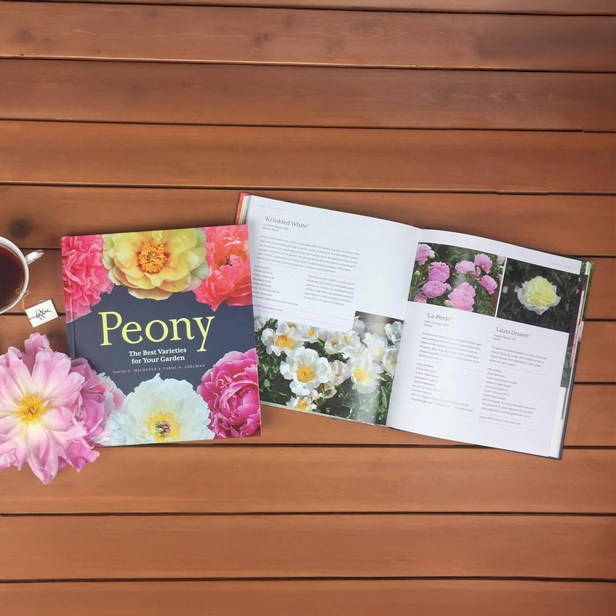 PEONY: THE BEST VARIETIES FOR YOUR GARDEN