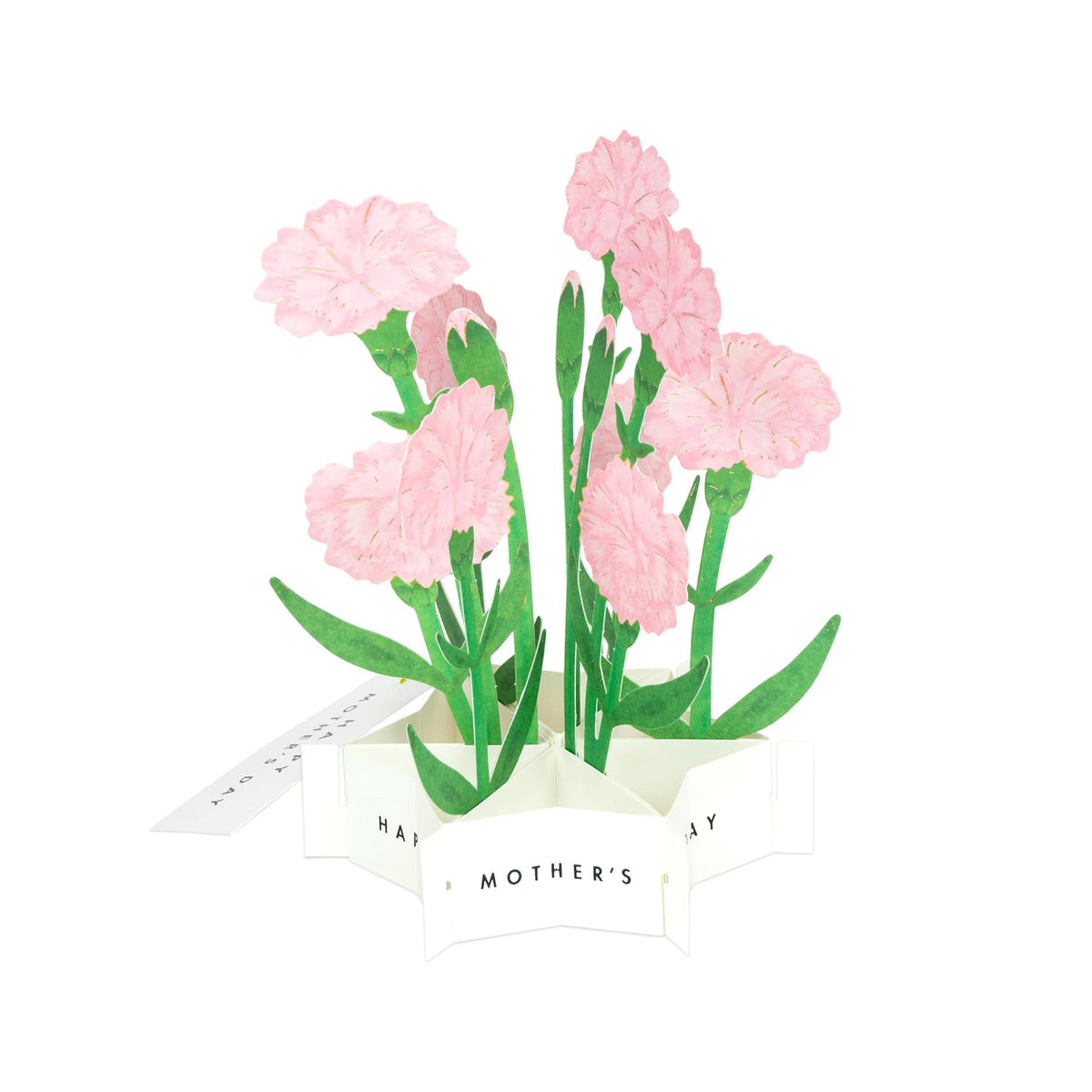 Celebrate Mother&#39;s Day with our pop-up blooming bouquet of carnations, a delightful surprise that fits perfectly in the included envelope.
