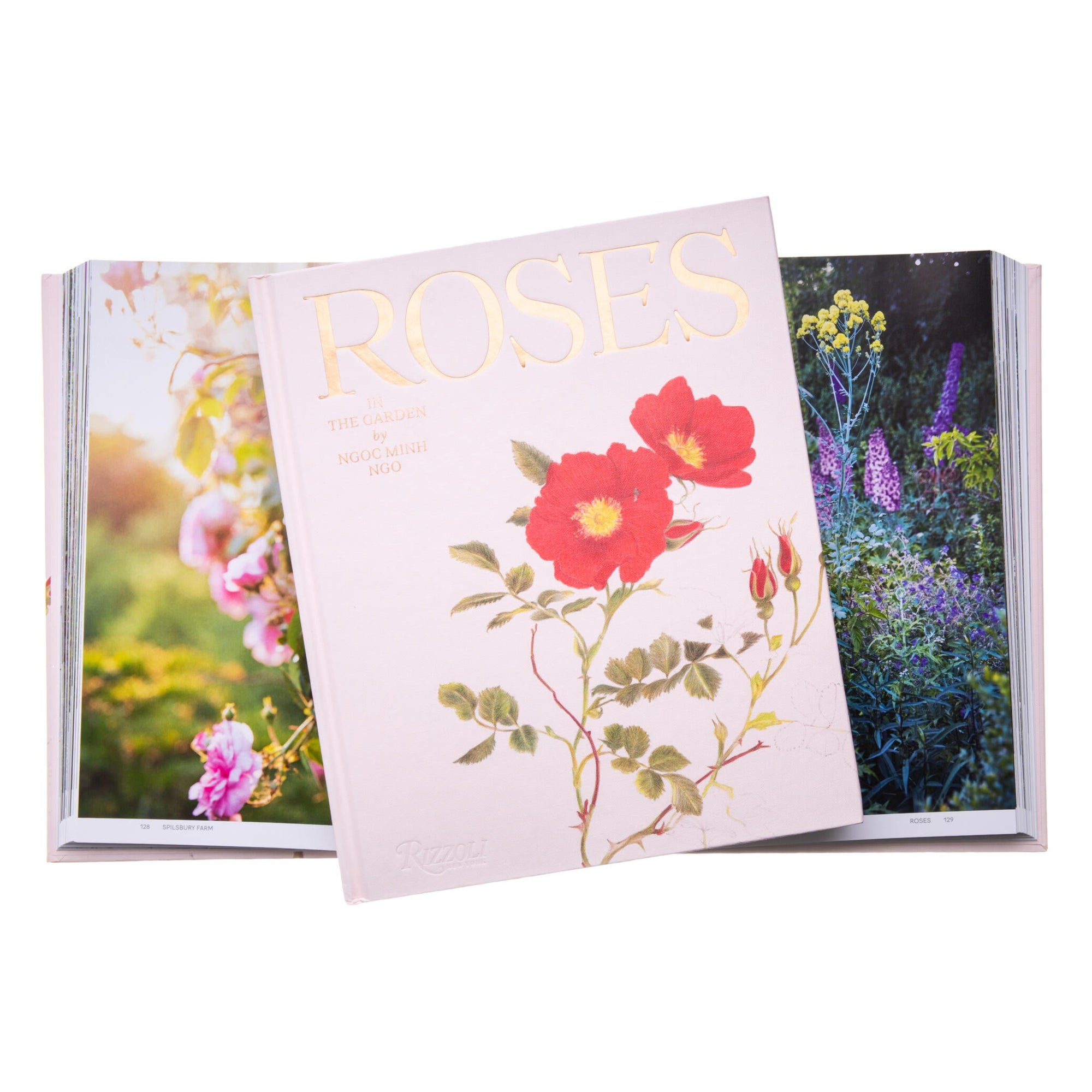 Open book with floral design and 'ROSES' text on a white background