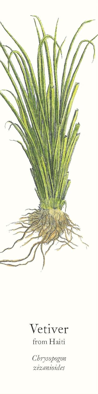 A box of Biblioscents fragrant bookmarks with scratch-and-sniff surfaces, featuring illustrations of flowers and the brand name.