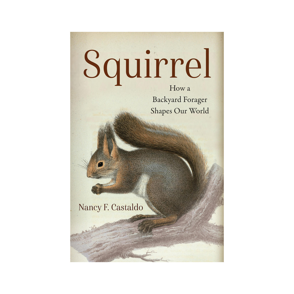 Book cover for 'Squirrel: How a Backyard Forager Shapes Our World' by Nancy F. Castaldo, featuring a detailed illustration of a brown and gray squirrel on a branch against a cream background.