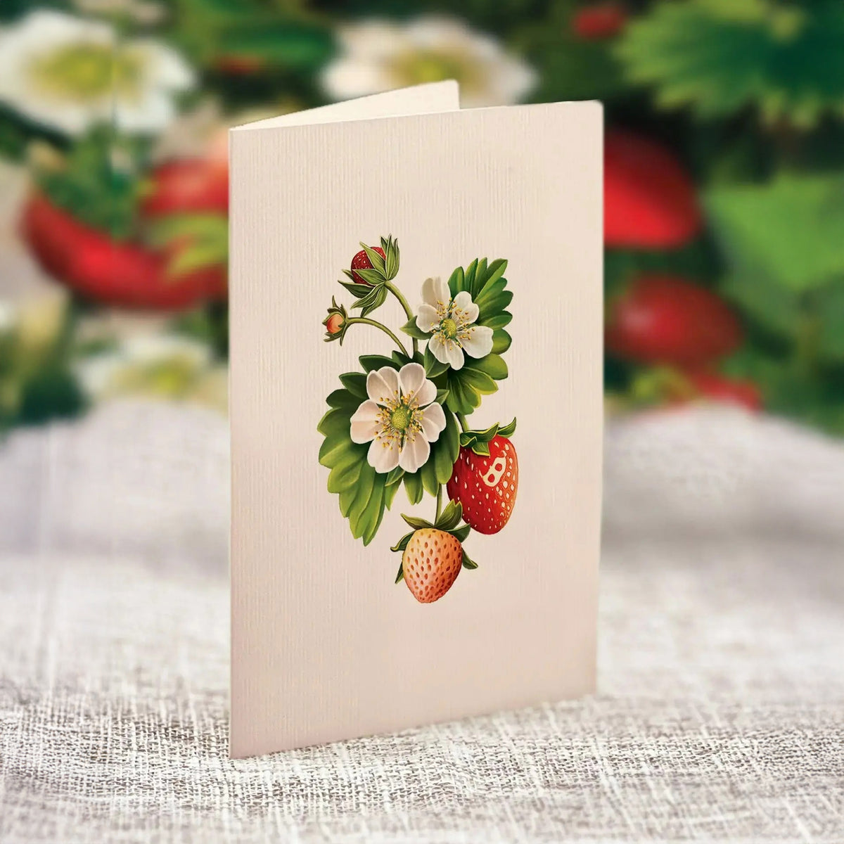 MINI POP-UP BOUQUET - STRAWBERRY BLOSSOM