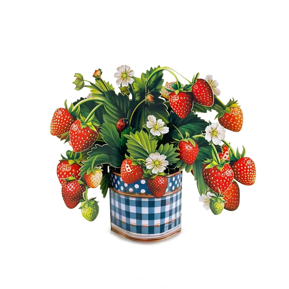 MINI POP-UP BOUQUET - STRAWBERRY BLOSSOM