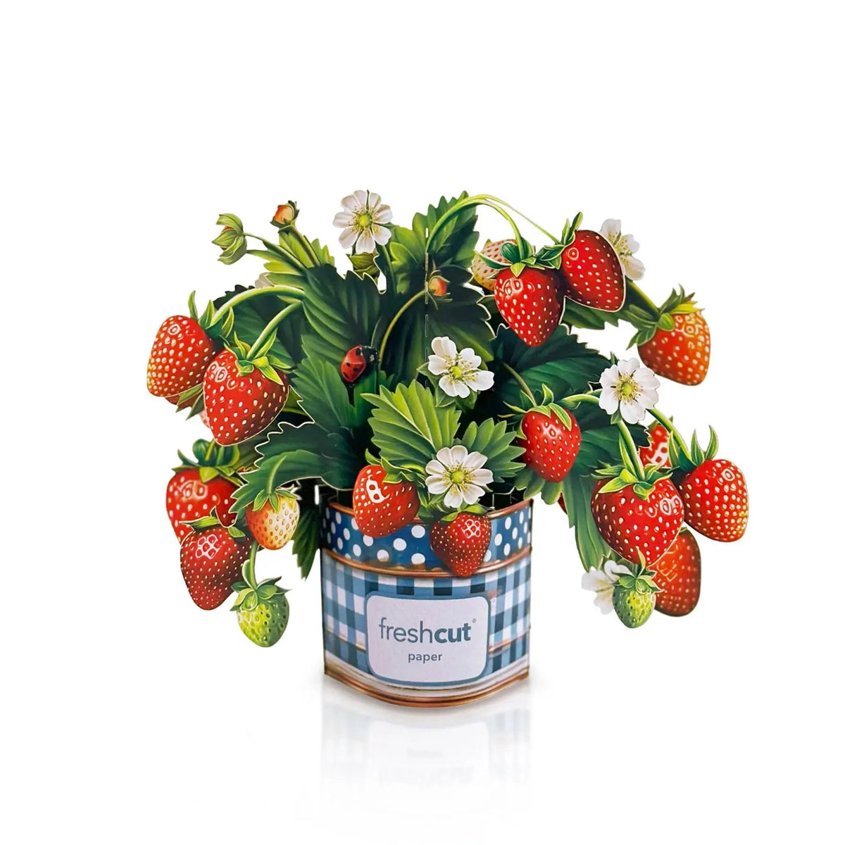 MINI POP-UP BOUQUET - STRAWBERRY BLOSSOM