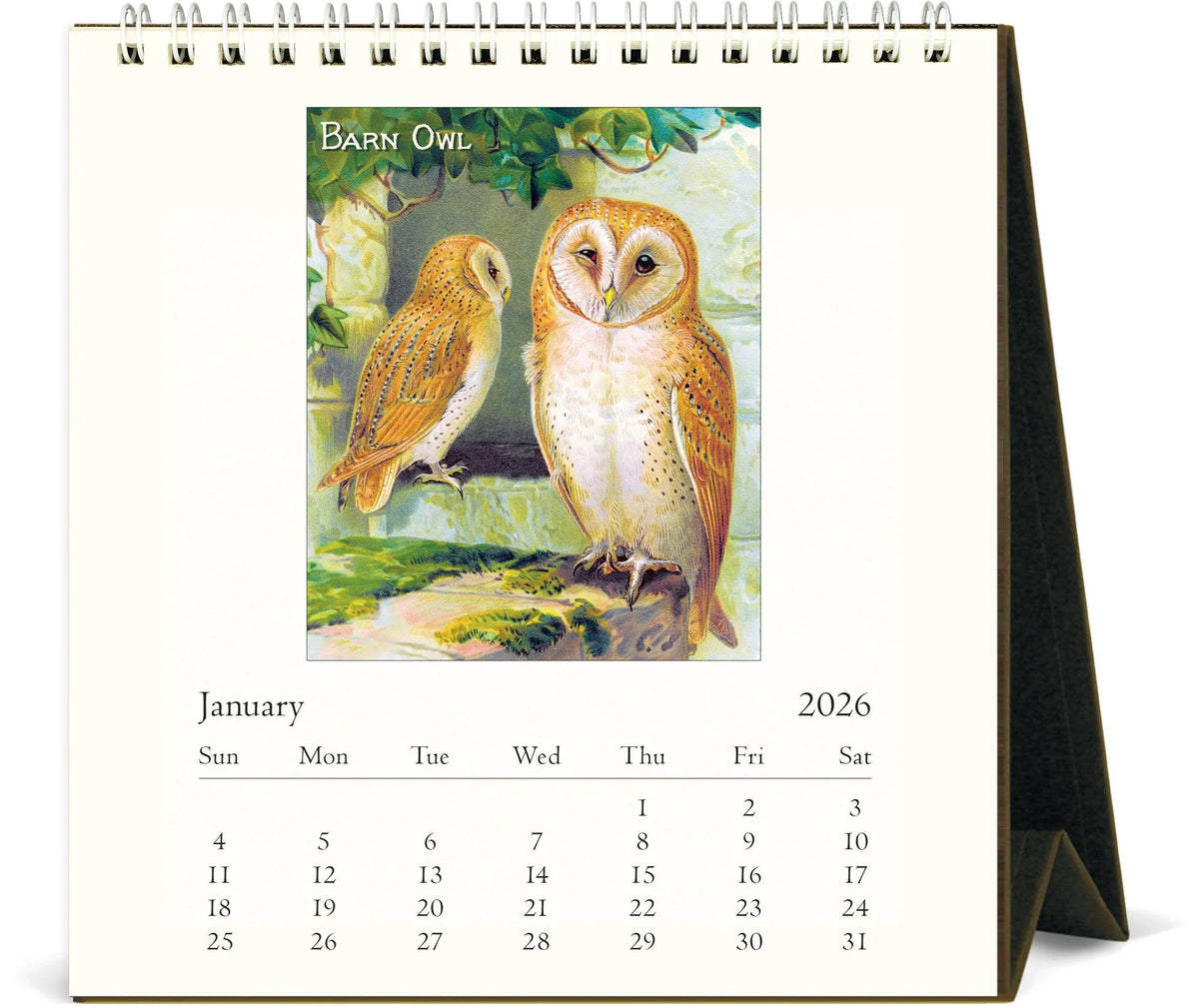 VINTAGE OWLS - 2026 DESK CALENDAR