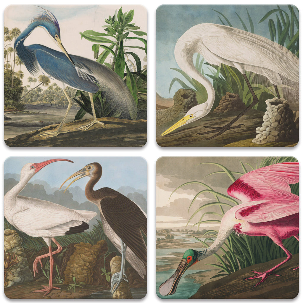 John Audubon set out to identify and meticulously portray 435 different birds, which he believed were all the species found in the United States and its territories. The large format was chosen so that he could render the birds life-size. This set of four store coasters features four 'Audubon birds'.  4"x4".