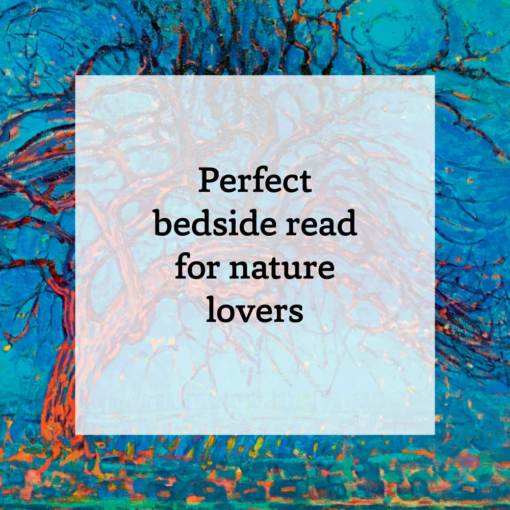 The cover of the book 'A Tree a Day' featuring a photograph of a tree with the title and author's name, Amy Jane Beer, at the bottom.