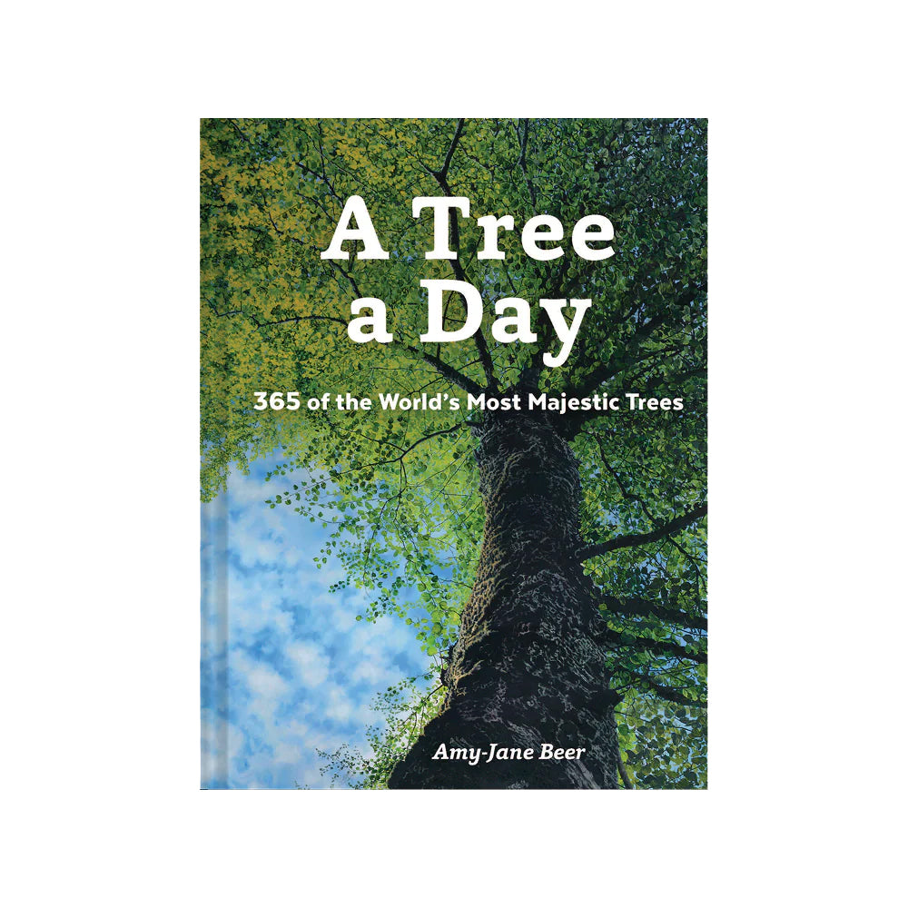 The cover of the book 'A Tree a Day' featuring a photograph of a tree with the title and author's name, Amy Jane Beer, at the bottom.