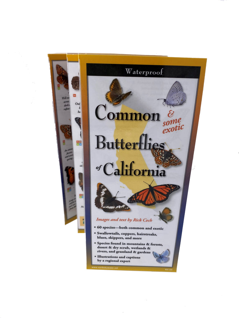 This perfect, packable, quick-reference field guide features 60 butterfly species, both common and exotic. They include swallowtails, fritillaries, metalmarks, sulphurs, skippers, hairstreaks, blues, and more. Images, descriptive captions, and habitat. Size folded: 9" x 4 " Size open: 25" x 9" Durable & waterproof.