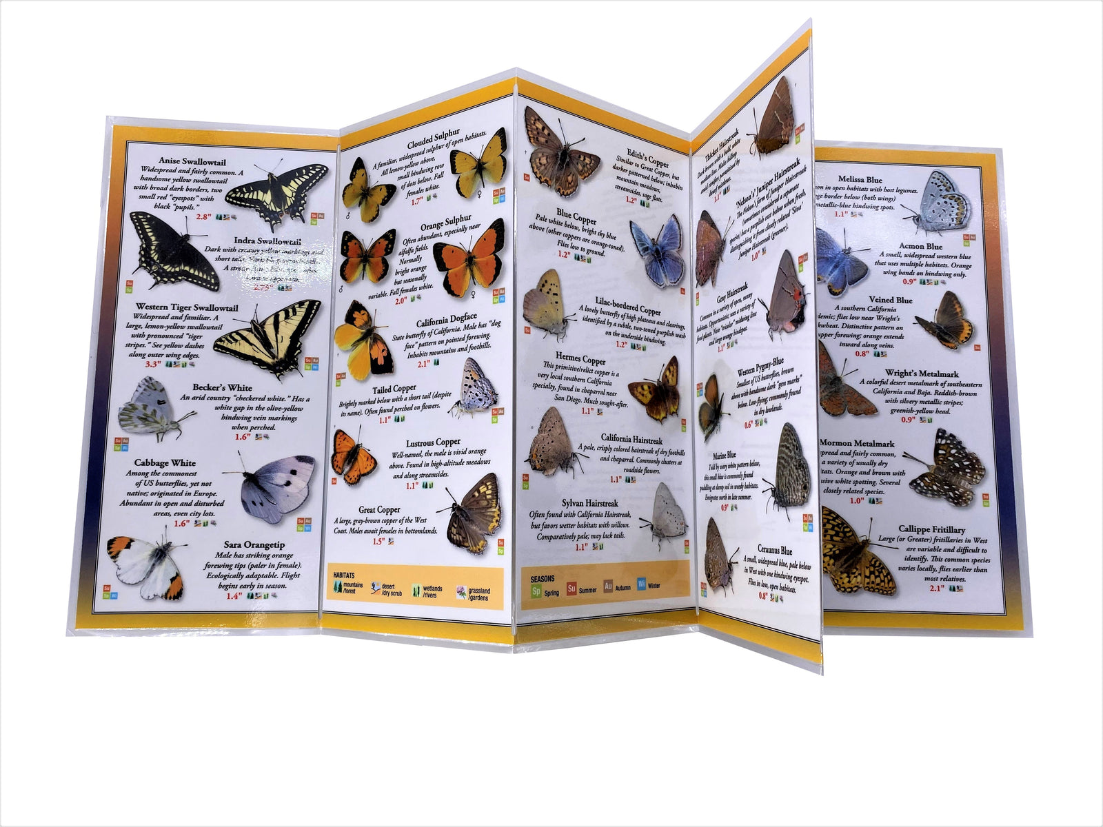 This perfect, packable, quick-reference field guide features 60 butterfly species, both common and exotic. They include swallowtails, fritillaries, metalmarks, sulphurs, skippers, hairstreaks, blues, and more. Images, descriptive captions, and habitat. Size folded: 9" x 4 " Size open: 25" x 9" Durable & waterproof.