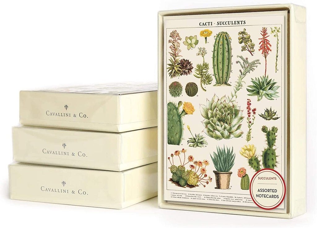 A beautiful set of assorted notecards, featuring eight cards, two each of four vintage style botanical cactus designs. Perfect for any occasion. Folded cards Blank inside Accompanied with matching envelopes 3.75" x 5.25"