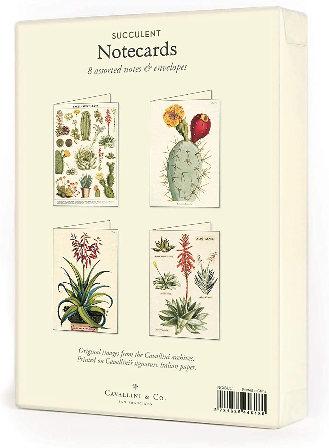 A beautiful set of assorted notecards, featuring eight cards, two each of four vintage style botanical cactus designs. Perfect for any occasion. Folded cards Blank inside Accompanied with matching envelopes 3.75" x 5.25"