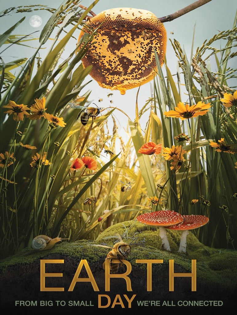 Help these busy bees pollinate Earth in this fun Earth Day puzzle. Image shows the world from an insect's point of view; featuring flowers, mushrooms, a snail, a ladybug, a queen bee, a beehive dripping with honey, and even the moon! 1000 piece puzzle. Made In USA 100% Recycled 80 Point Chipboard. Linen Style Finish.
