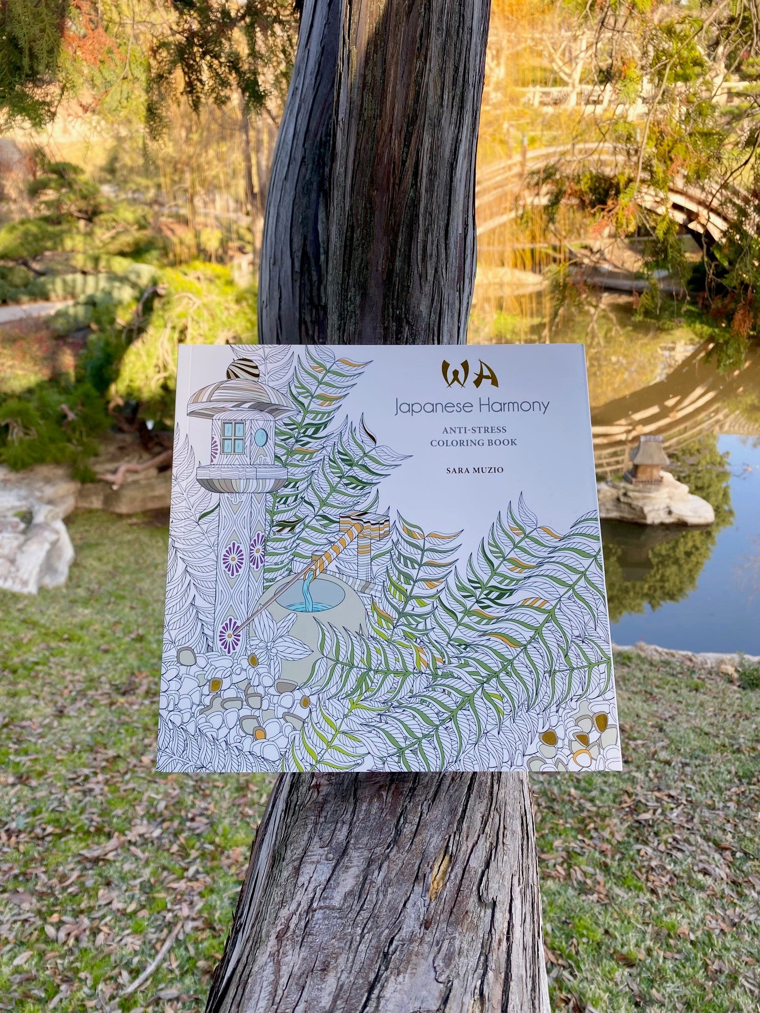 Discover the tranquility of Japanese landscape and design with this wonderful coloring book. 55 illustrations show Zen gardens, temples, geishas, bonsai trees, paper fans, statues of dragons, and other detailed images promoting the peace, harmony, and balance associated with the Japanese concept of "Wa." 96 pages.