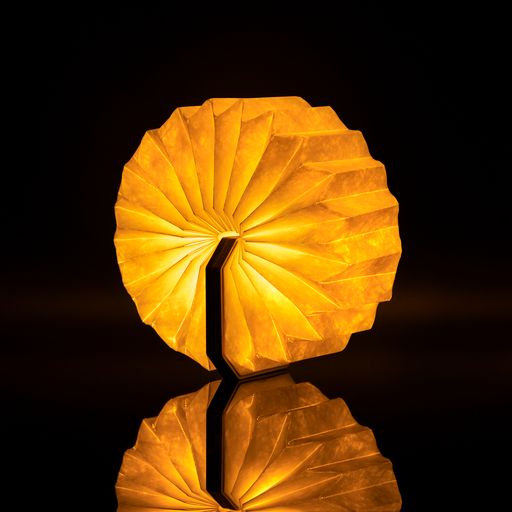 ACCORDION LAMP