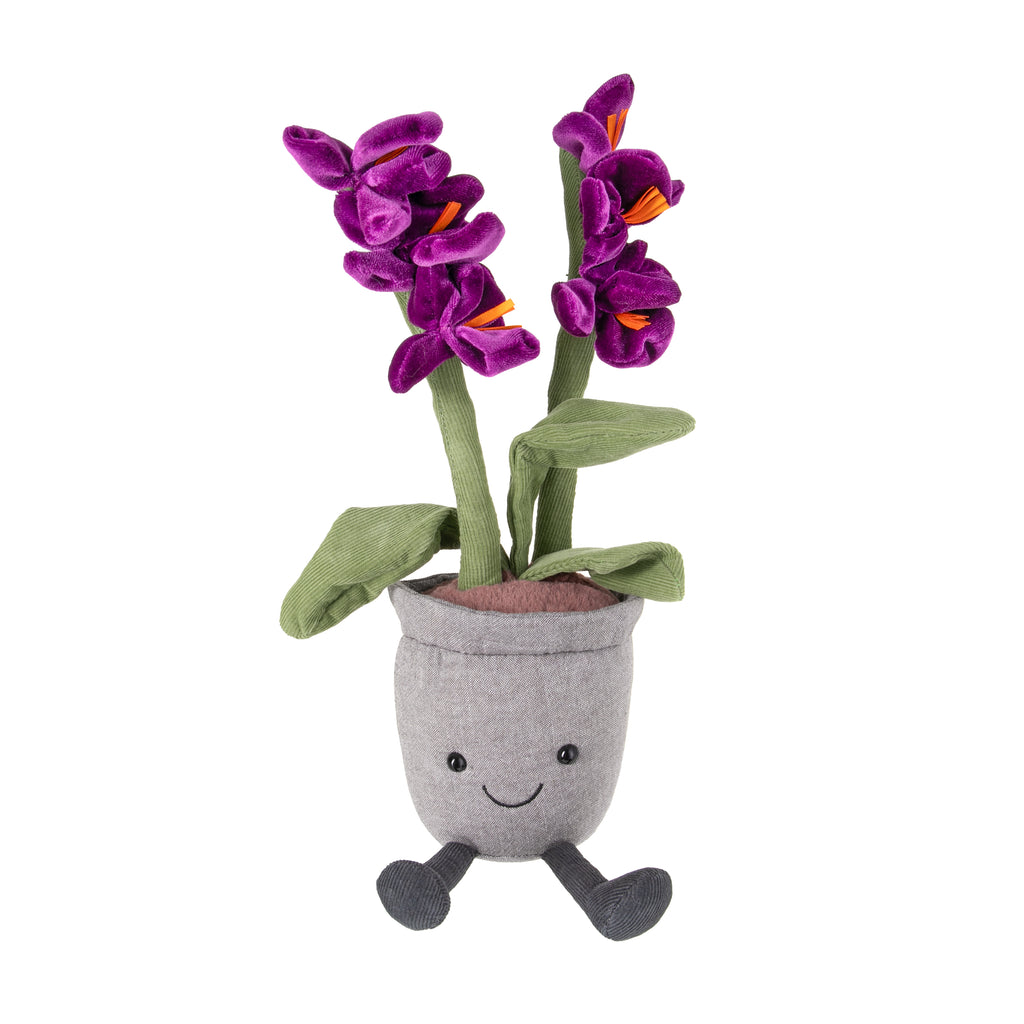 An elegant bloom, Amuseable Orchid is always blossoming and showcasing ruffly plum velour flowers, in the hopes to impress. Perched on a fresh green needlecord stem. With cordy leaves and cocoa boots, fluffy soil and a grey linen pot, this funky floral is a fashionista! Suitable from birth. Hand wash only. H11" X W4".