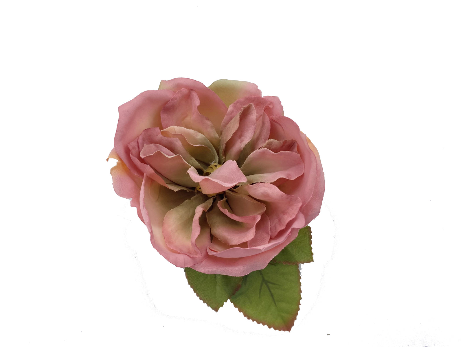 A beautiful pin featuring the 'Huntington's 100th' rose. This pretty rose accessory has a pin, and a clip so can be worn pinned to an outfit or clipped into your hair. Diameter approx 4".