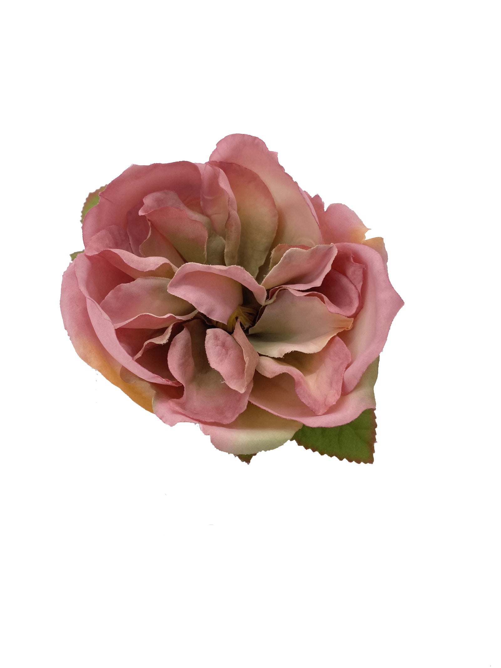 A beautiful pin featuring the 'Huntington's 100th' rose. This pretty rose accessory has a pin, and a clip so can be worn pinned to an outfit or clipped into your hair. Diameter approx 4".