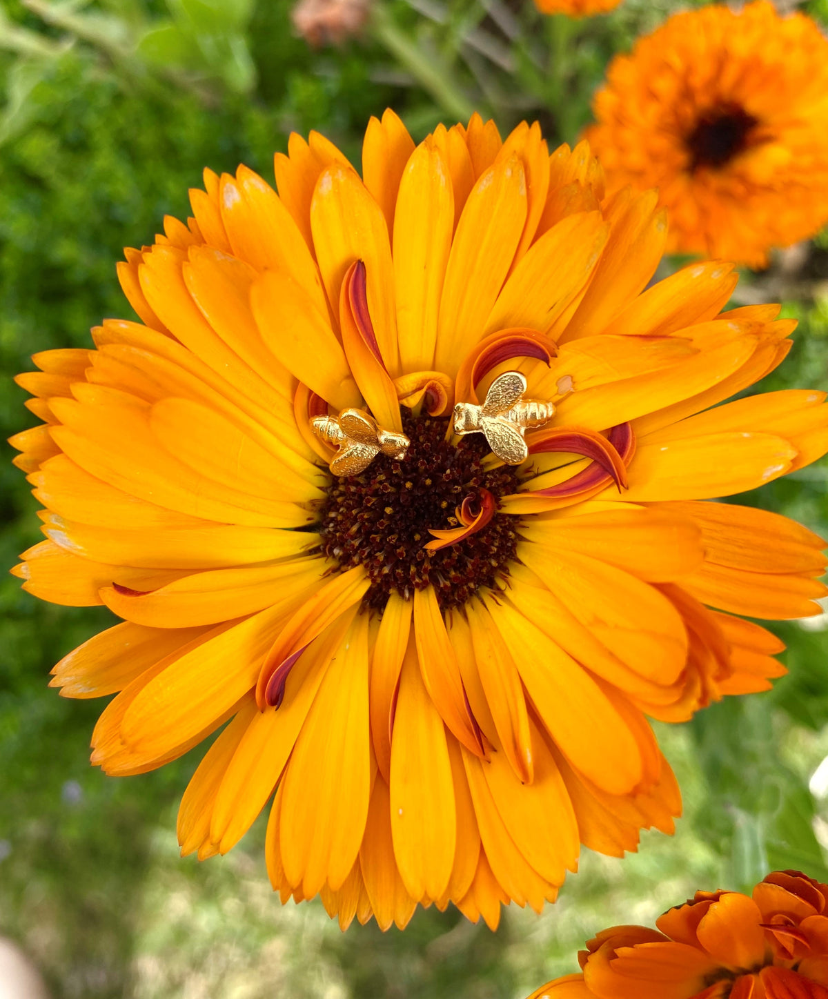 TINY BEE EARRINGS, GOLD