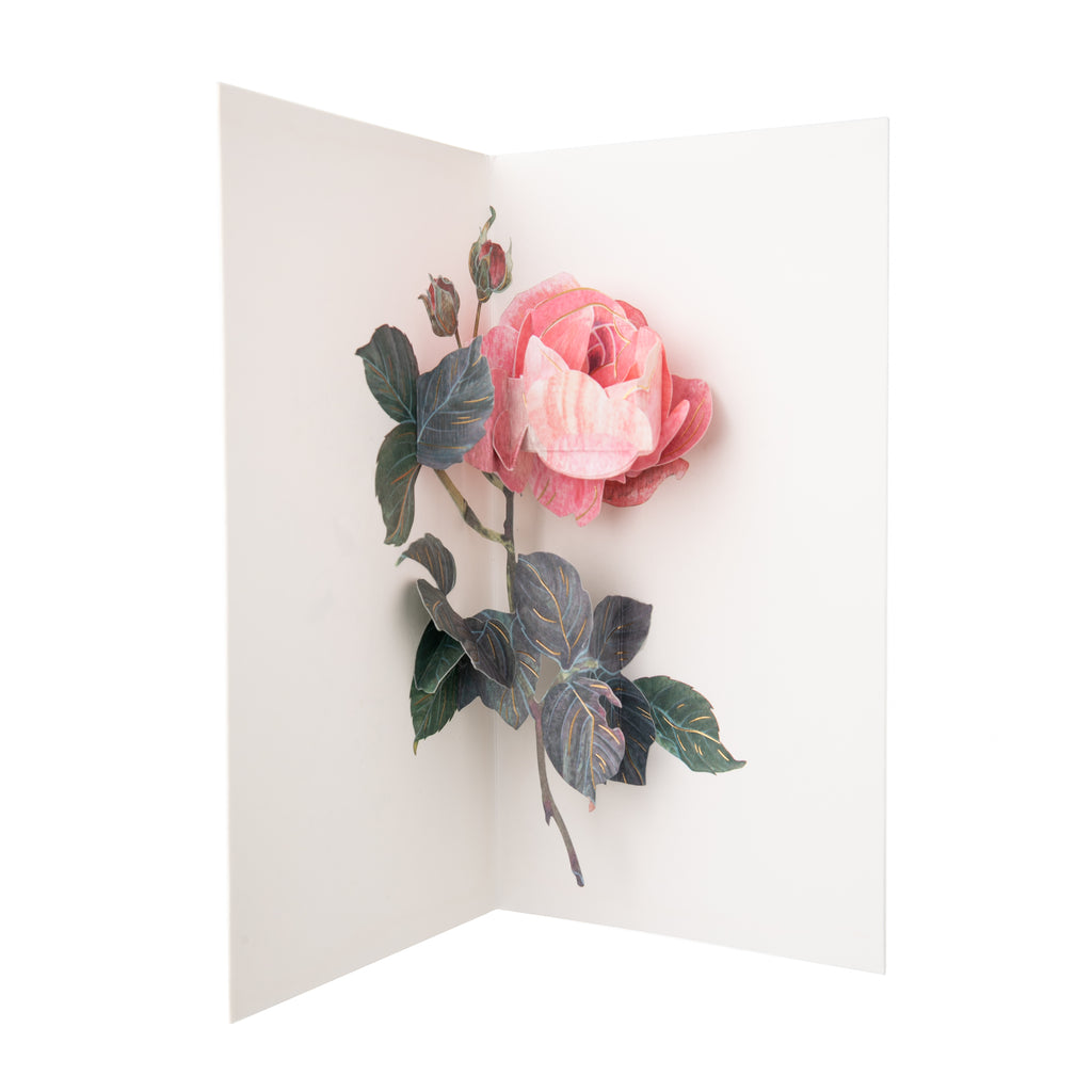"A rose by any other name would smell as sweet". Longer lasting than a real rose, this detailed, pop-up 3-D rose card is perfect for sending to any loved one. 3D pop-up notecard - blank inside for your own message. By artist Hiromi Takeda. Size approx 7" x 4"