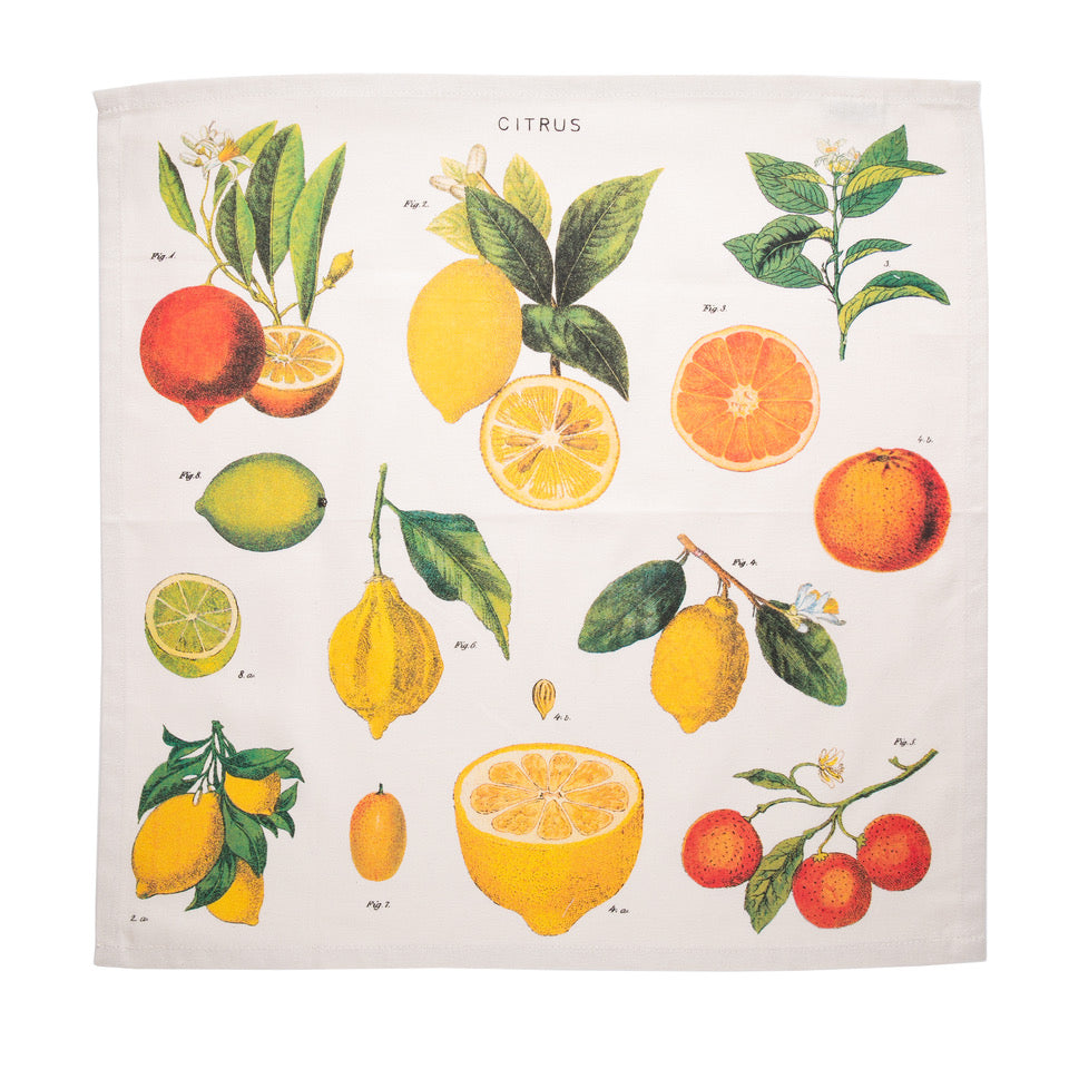 Four beautiful cloth napkins featuring vintage botanical illustrations of citrus fruits. Made with 100% natural cotton. Packaged in a hand-sewn muslin gift bag. 19 " x 19" Machine washable.